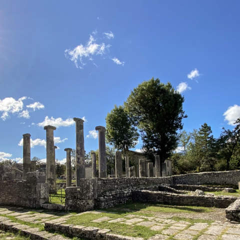 Percorsi in Storia
