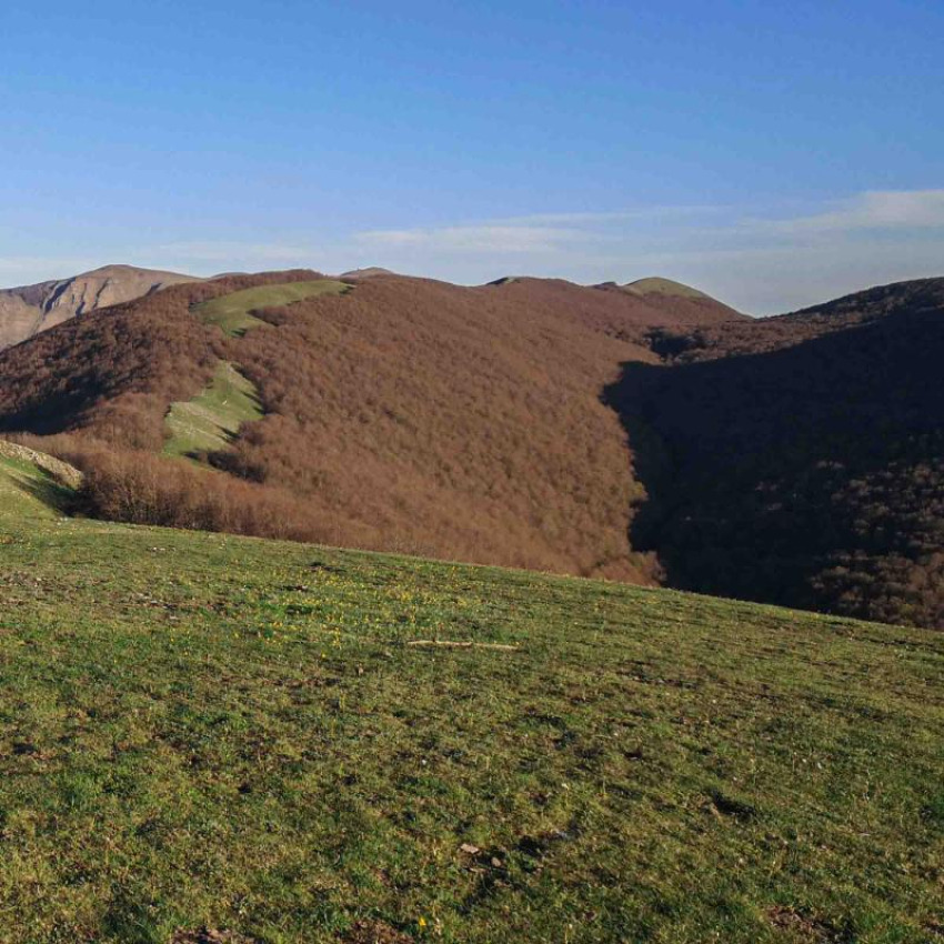 Monte Calvelluzzo