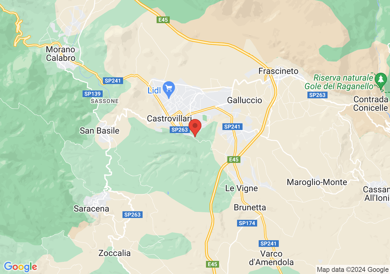 Mappa di Basilica santuario di Santa Maria del Castello