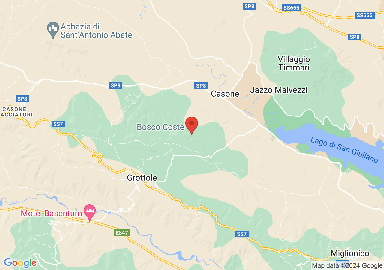 Mappa di Bosco Le Coste - Grottole