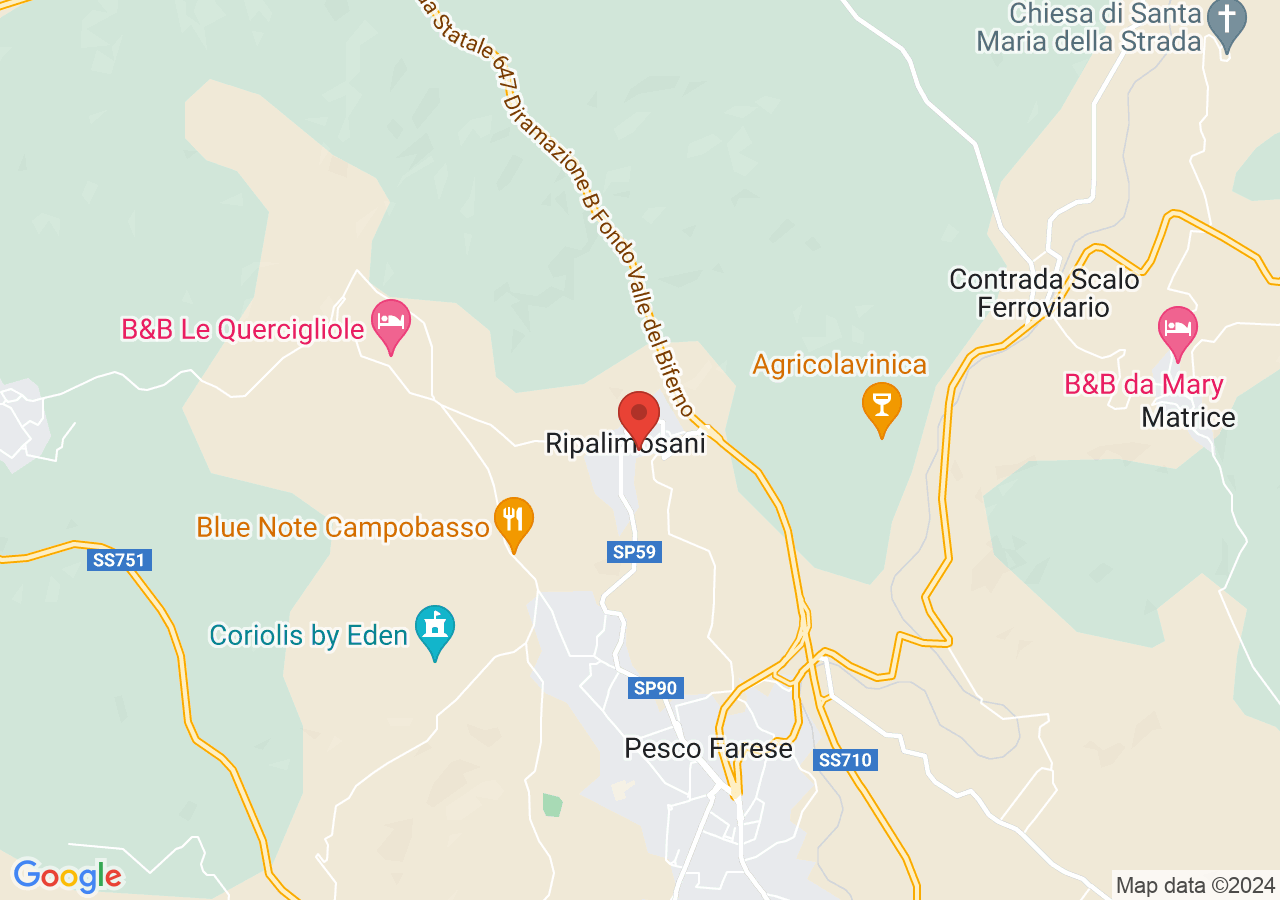 Mappa di Palio delle Quercigliole