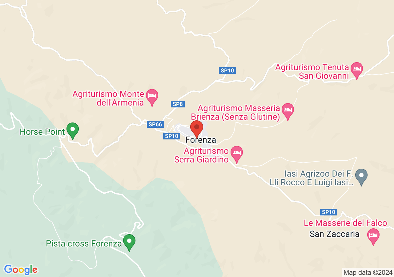 Mappa di Palio delle Sette Contrade - Forenza