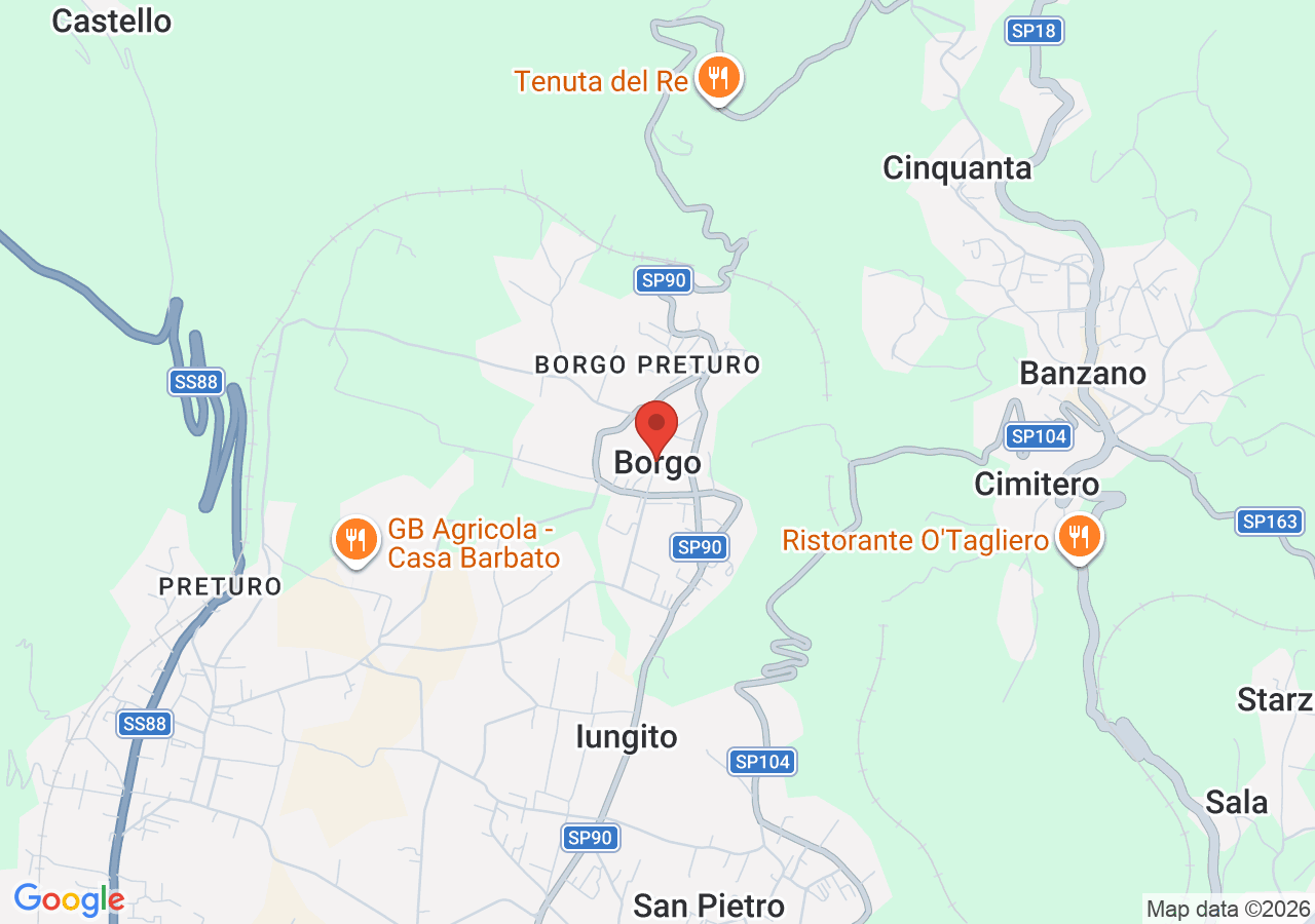 Mappa di Ruderi del Castello nella frazione Borgo a Montoro