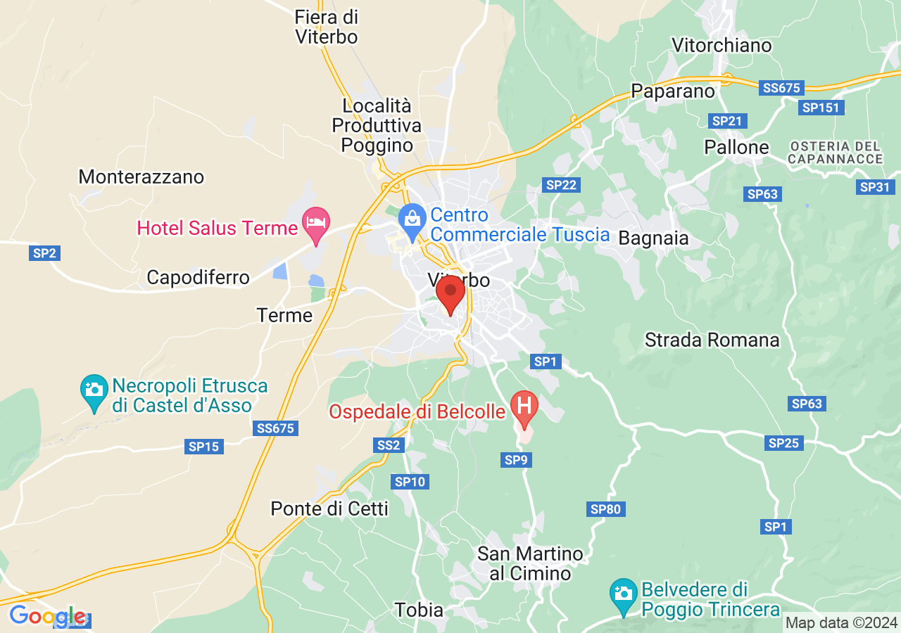 Mappa di Quartiere San Pellegrino