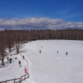 Prato Gentile