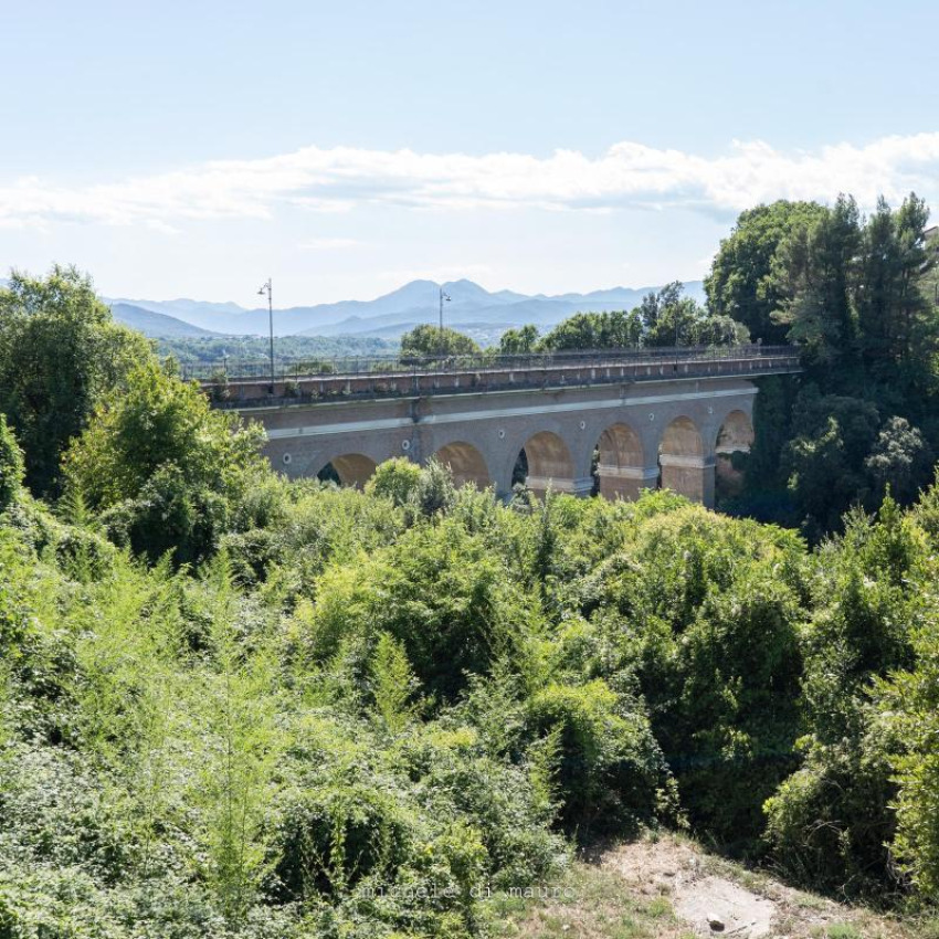 Ponte Cardarelli e Viadotto Santo Spirito
