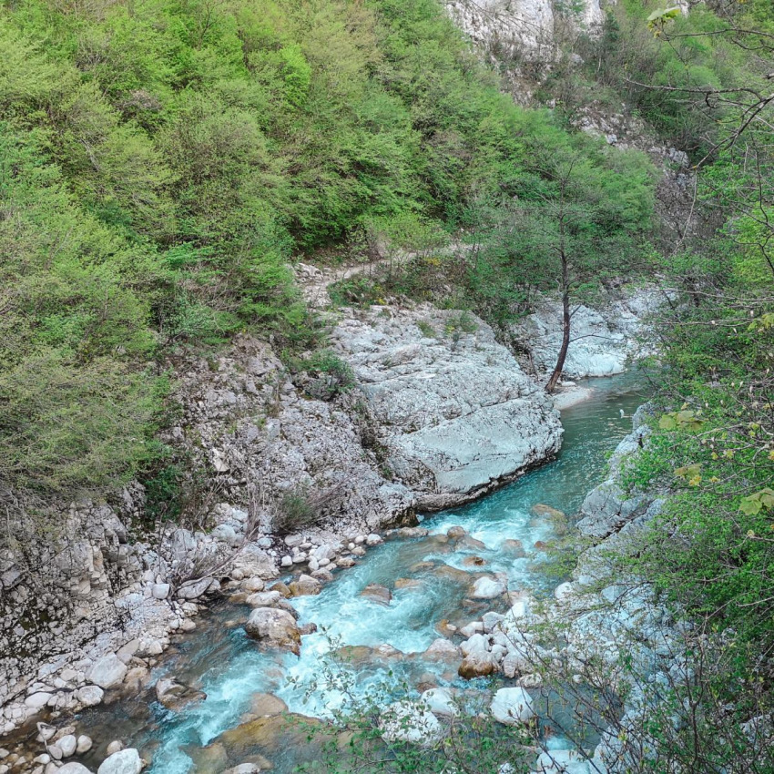 Forre del Titerno