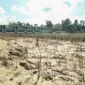 Riserva e Diga di San Giuliano