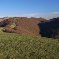 Monte Calvelluzzo